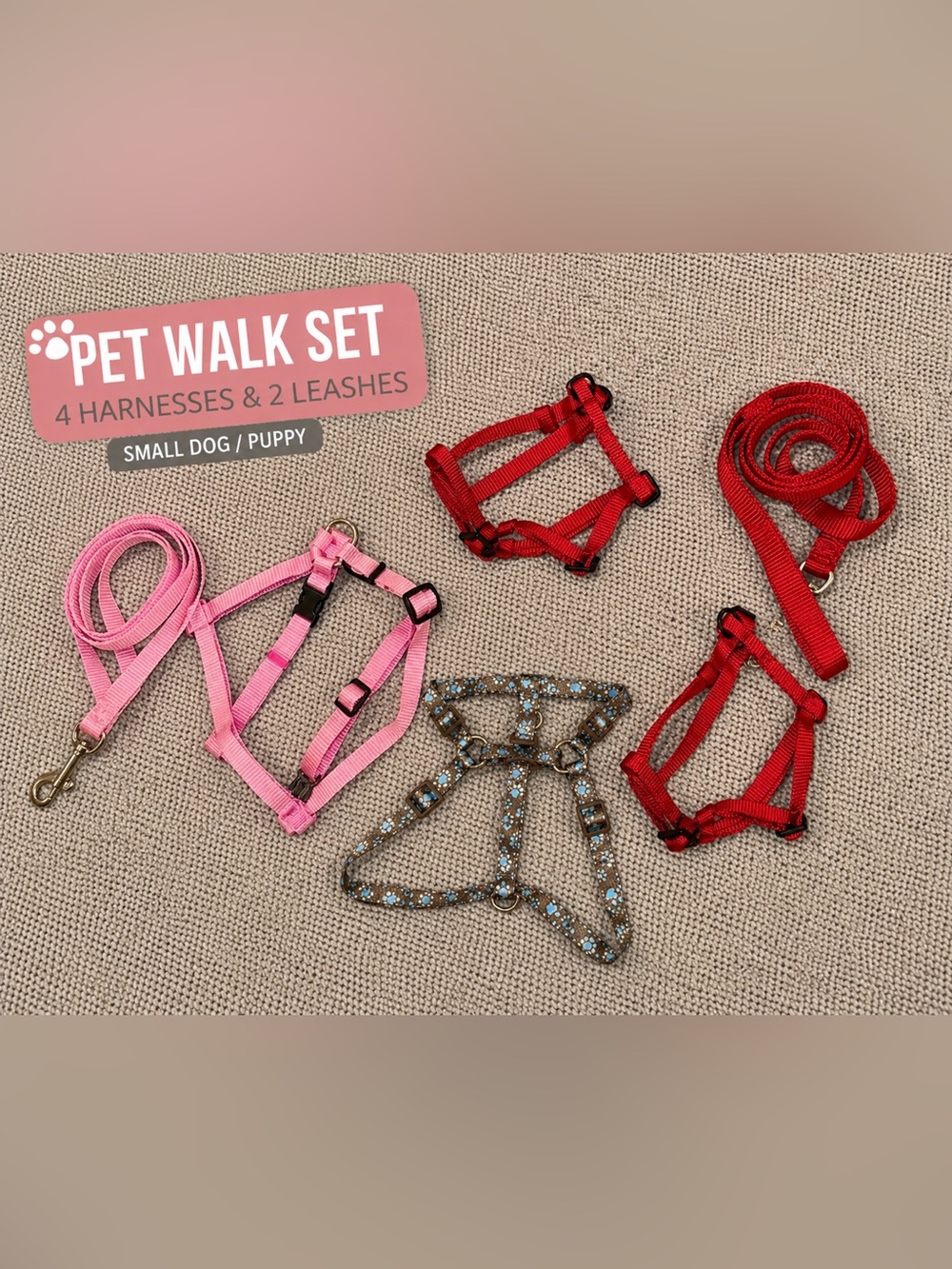 Small Dog Harness & Leash Bundle 🐾💕